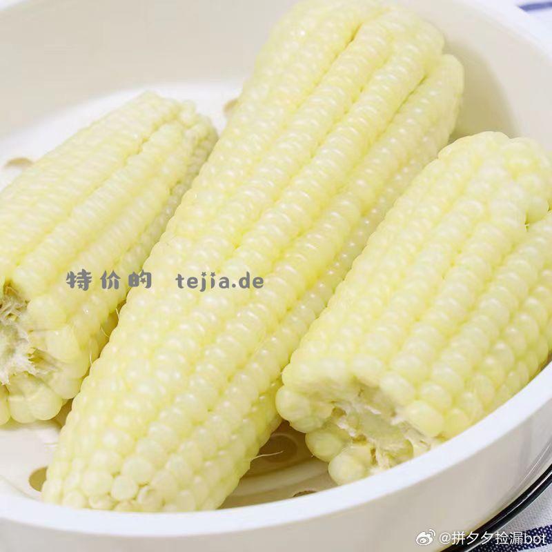 广西新鲜牛奶白糯玉米5-6斤 13.9 - 特价的